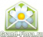 Логотип компании Доставка цветов Гранд Флора (ф-л г. Аша)